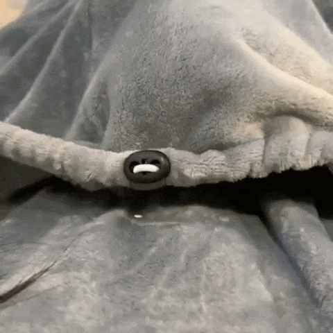 Avental para Tutores de Gatos