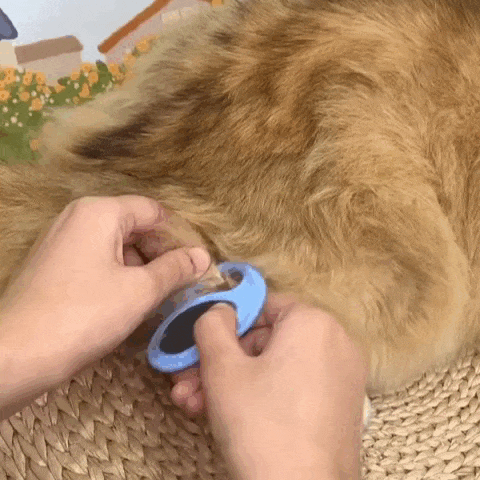 Corta Nós de Pelos para Pets
