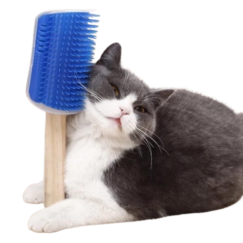 Massageador de Parede para Pets
