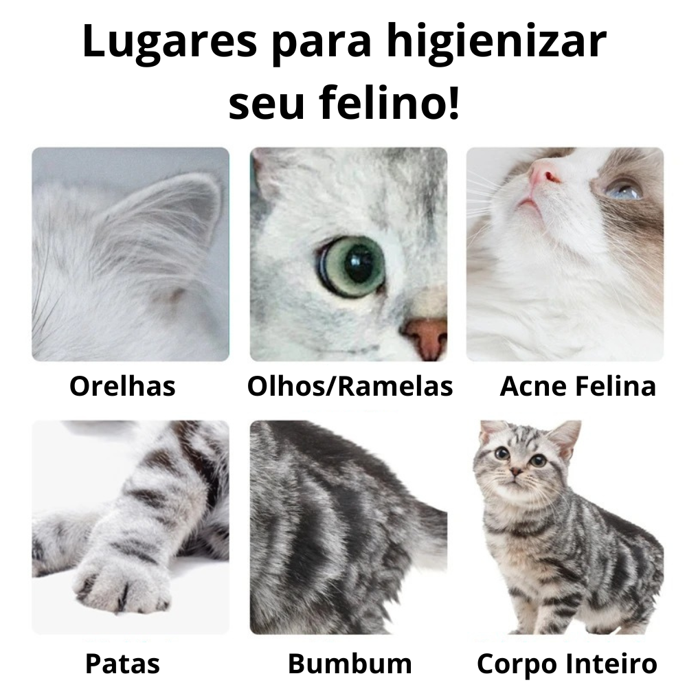 Luva Umedecida Antibacteriana para Pets