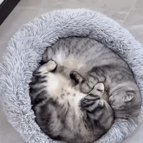 Cama Nuvem Premium para Pet