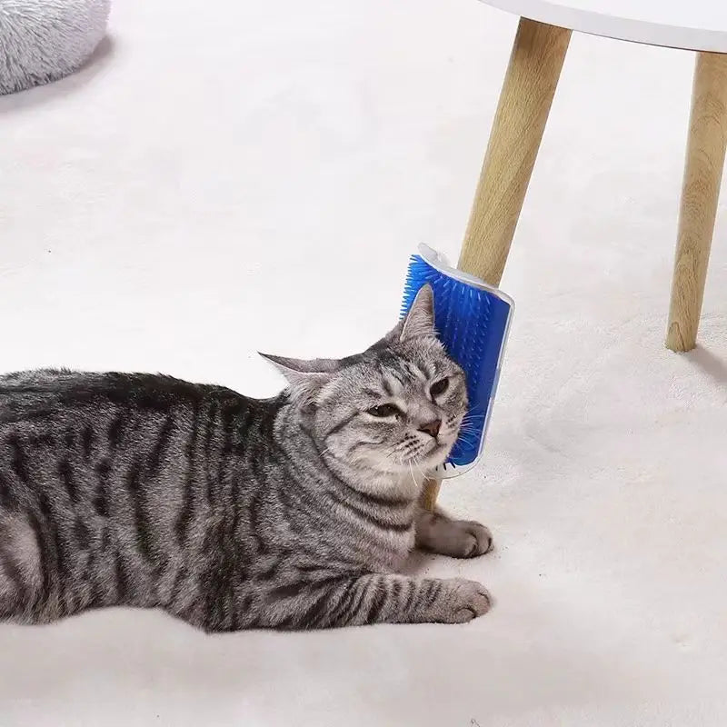 Massageador de Parede para Pets