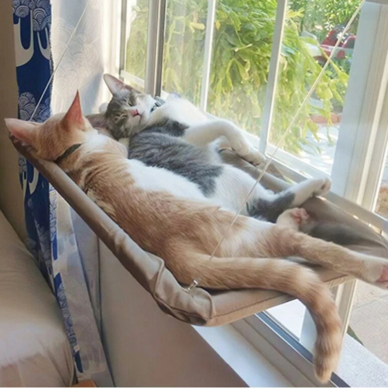 Cama de Janela Suspensa para Gatos