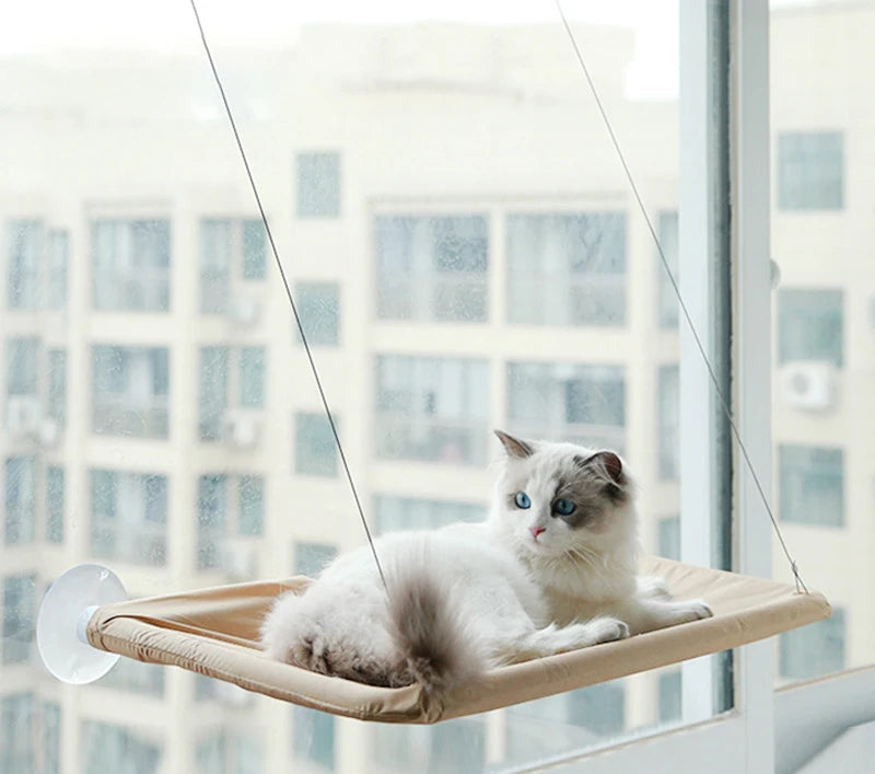 Cama de Janela Suspensa para Gatos