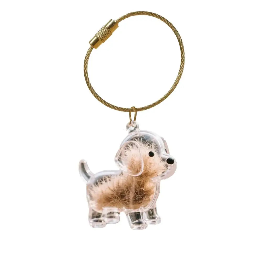 Chaveiro de Acrílico para Pelos de Cães