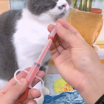 Seringa Dosadora para Pets