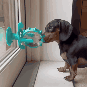 Alimentador Interativo Lento para Pets