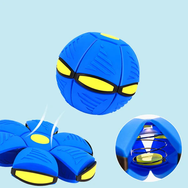 Brinquedo Bola Interativa Encantada para Pets
