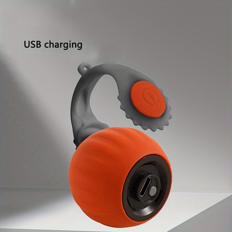 Bola Pena Elétrica para Pets