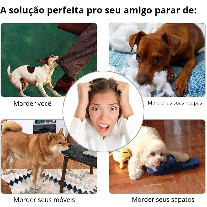 Bola de Brinquedo para Pets