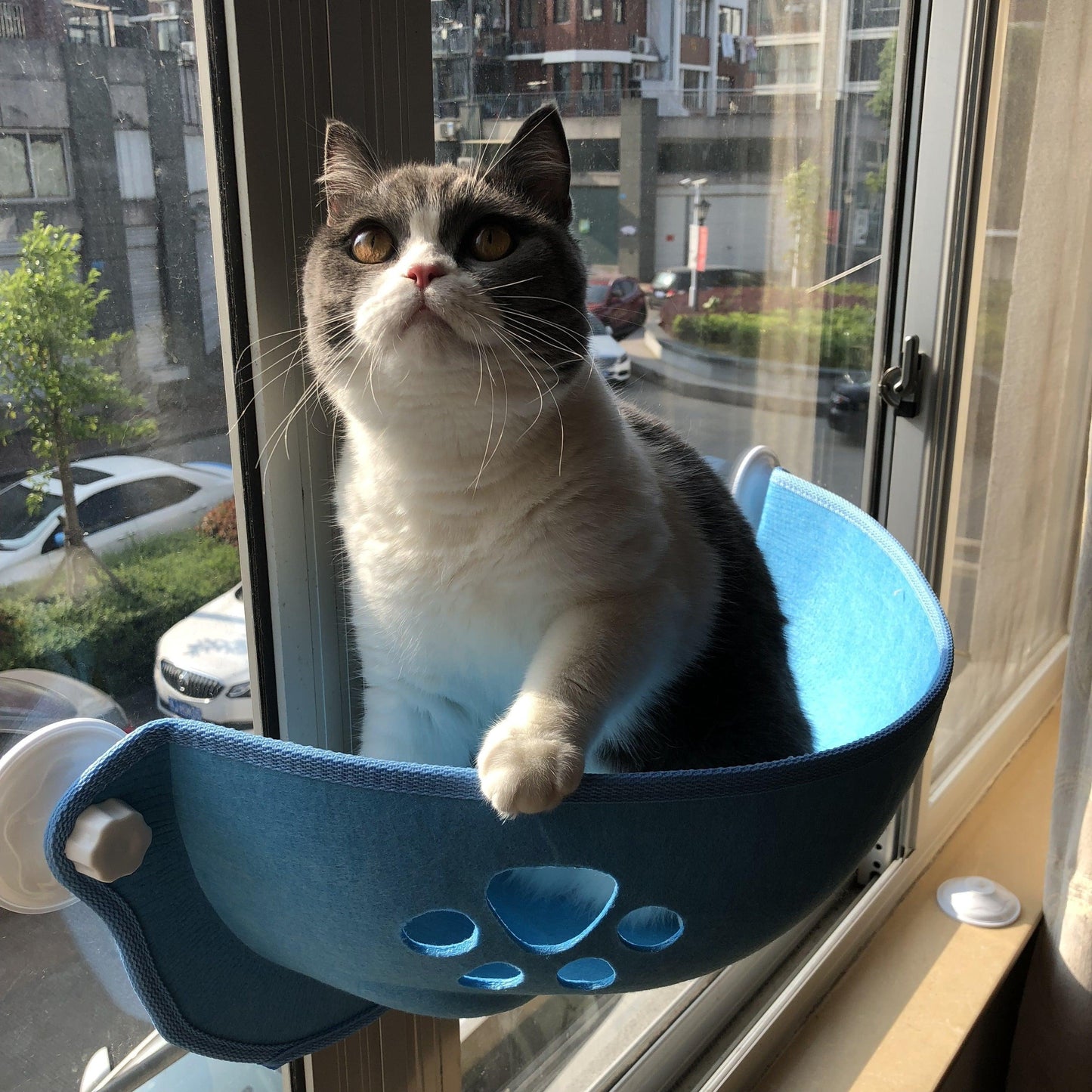 Cama de Janela Premium Para Gatos
