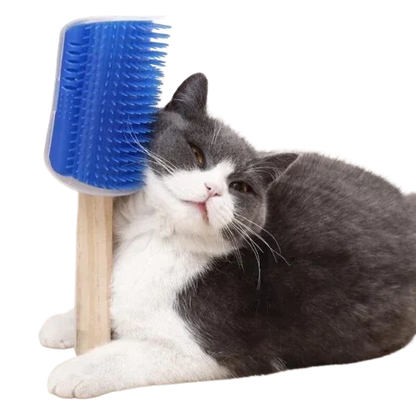 Massageador de Parede para Pets