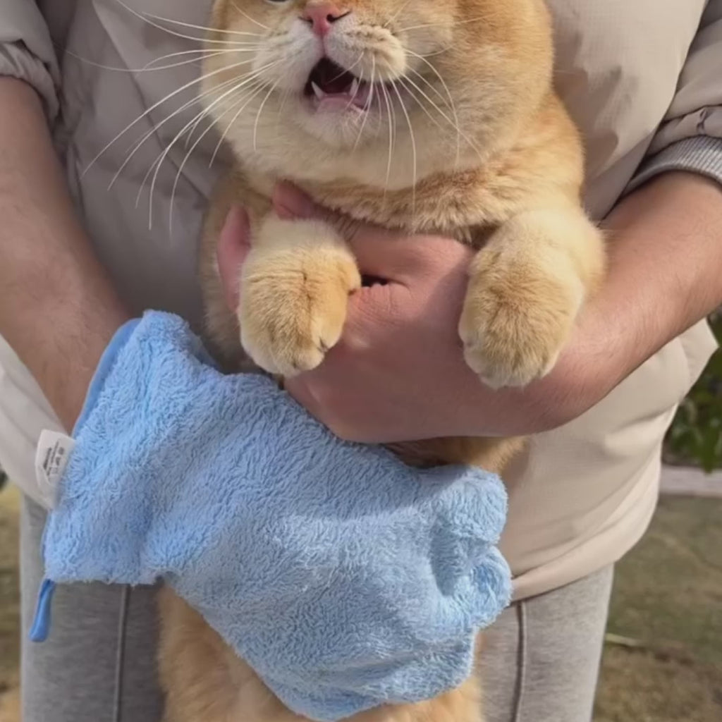 Luva de Microfibra de banho para Pets