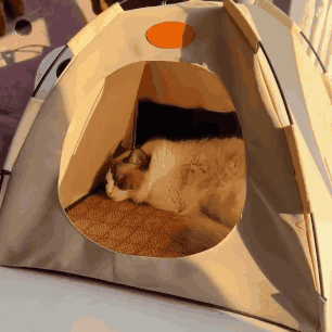 Barraca Portátil para Gatos