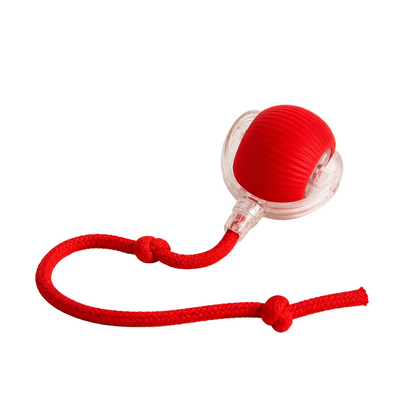 Brinquedo Bola de Caça Elétronica para Cães