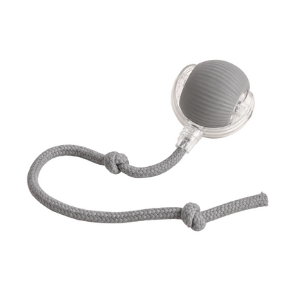 Brinquedo Bola de Caça Elétronica para Cães