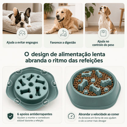 Alimentador Lento para Cães