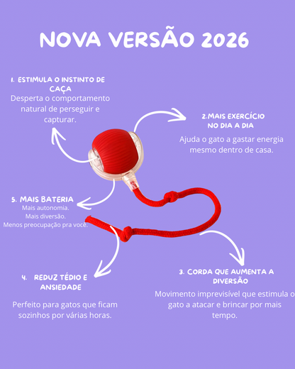 Brinquedo Bola de Caça Elétronica para Pets