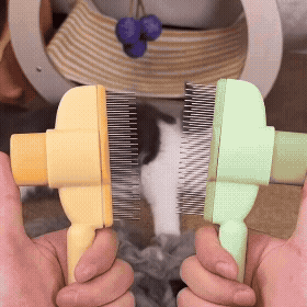 Pente Removedor de Pelos
