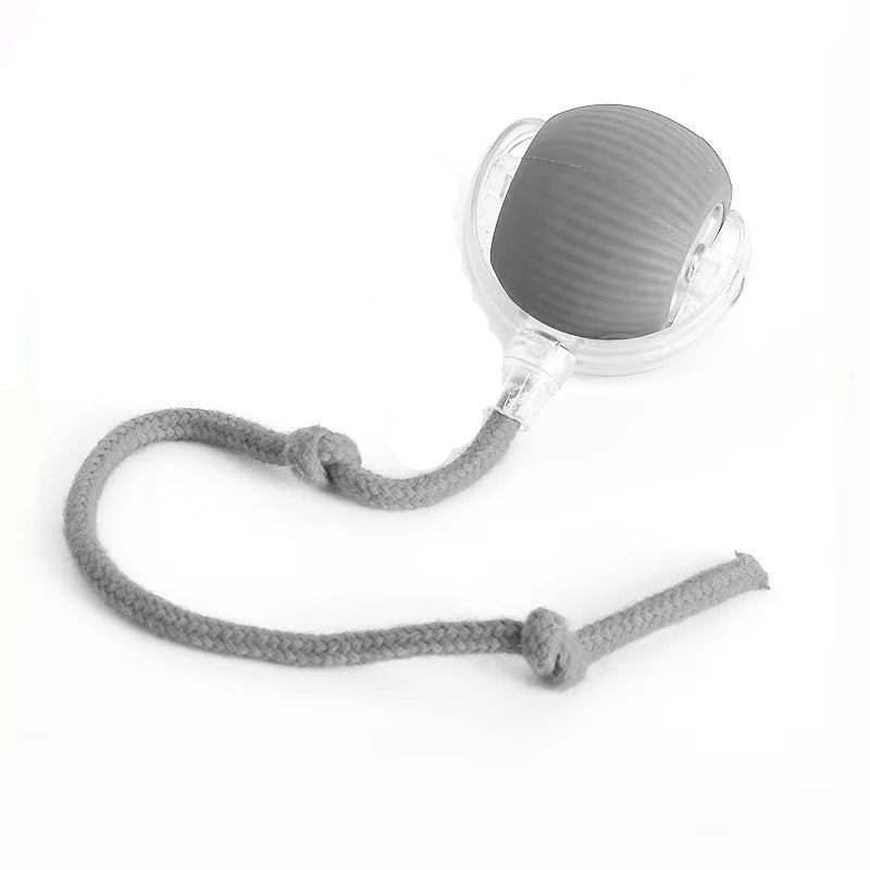 Brinquedo Bola de Caça Elétronica para Pets