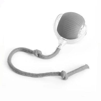 Brinquedo Bola de Caça Elétronica para Pets