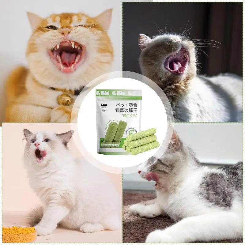 Bastões de Grama Comestíveis para Gatos