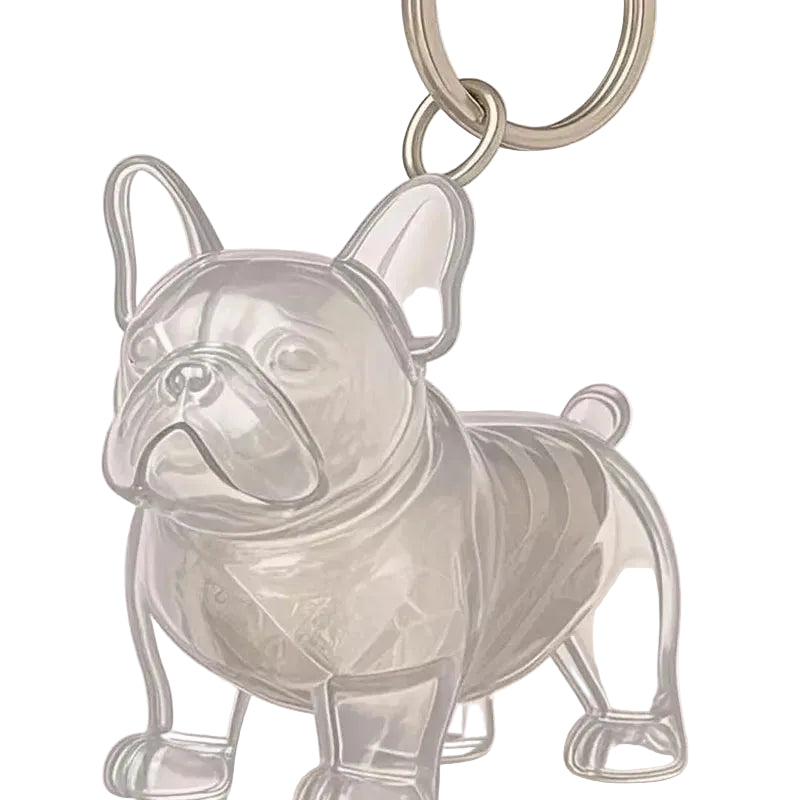 Porta Chaves de Acrílico para Pelos de Cães