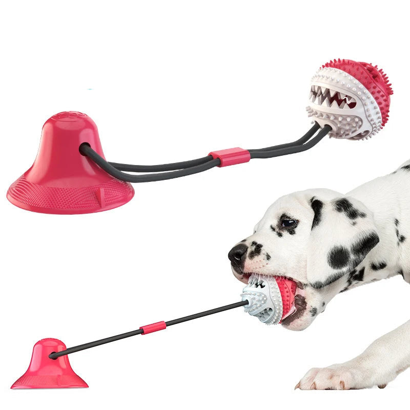 Brinquedo com Ventosa para Cão