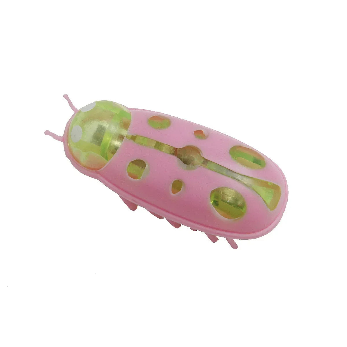 Brinquedo Inseto Elétrico para Pets