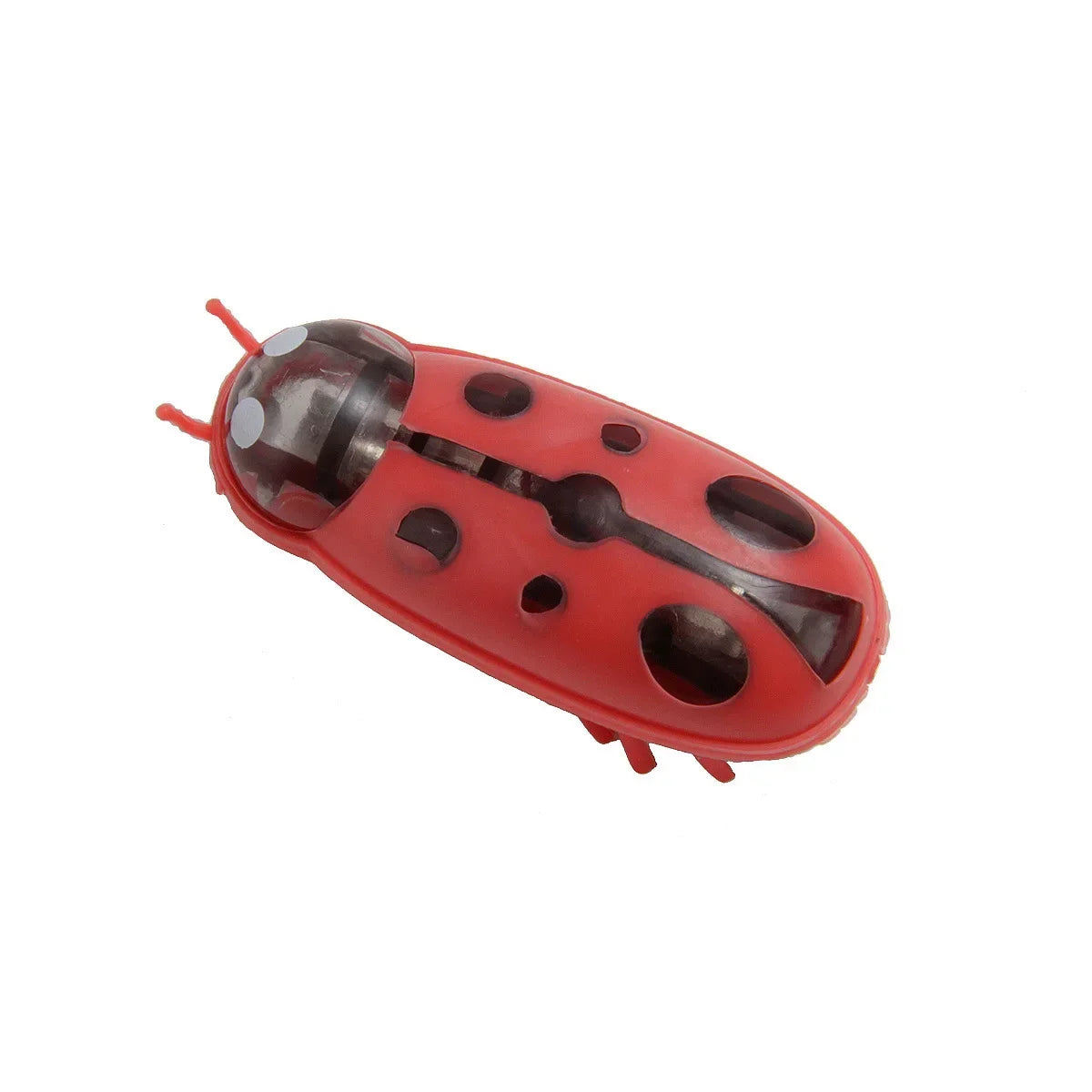 Brinquedo Inseto Elétrico para Pets