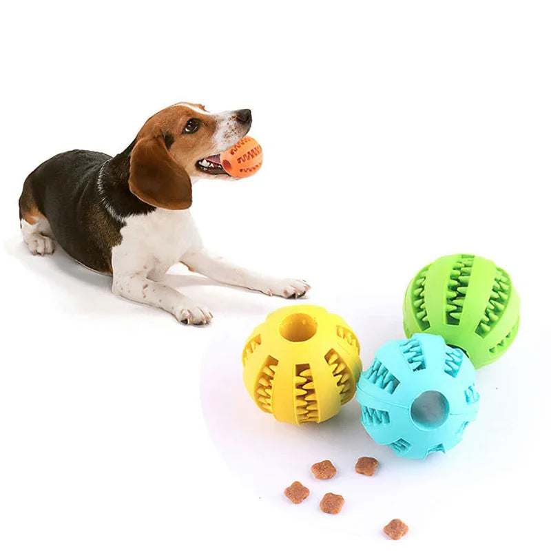 Bola de Brinquedo para Pets