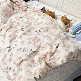 Saquinho de Dormi para Gatos