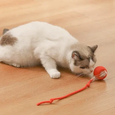 Brinquedo Bola de Caça Eletrônica para Gatos (Na compra de 2 FRETE GRÁTIS)