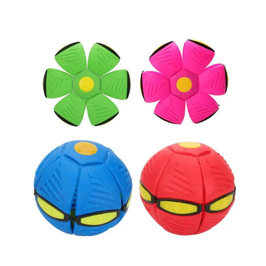 Brinquedo Bola Interativa Encantada para Pets