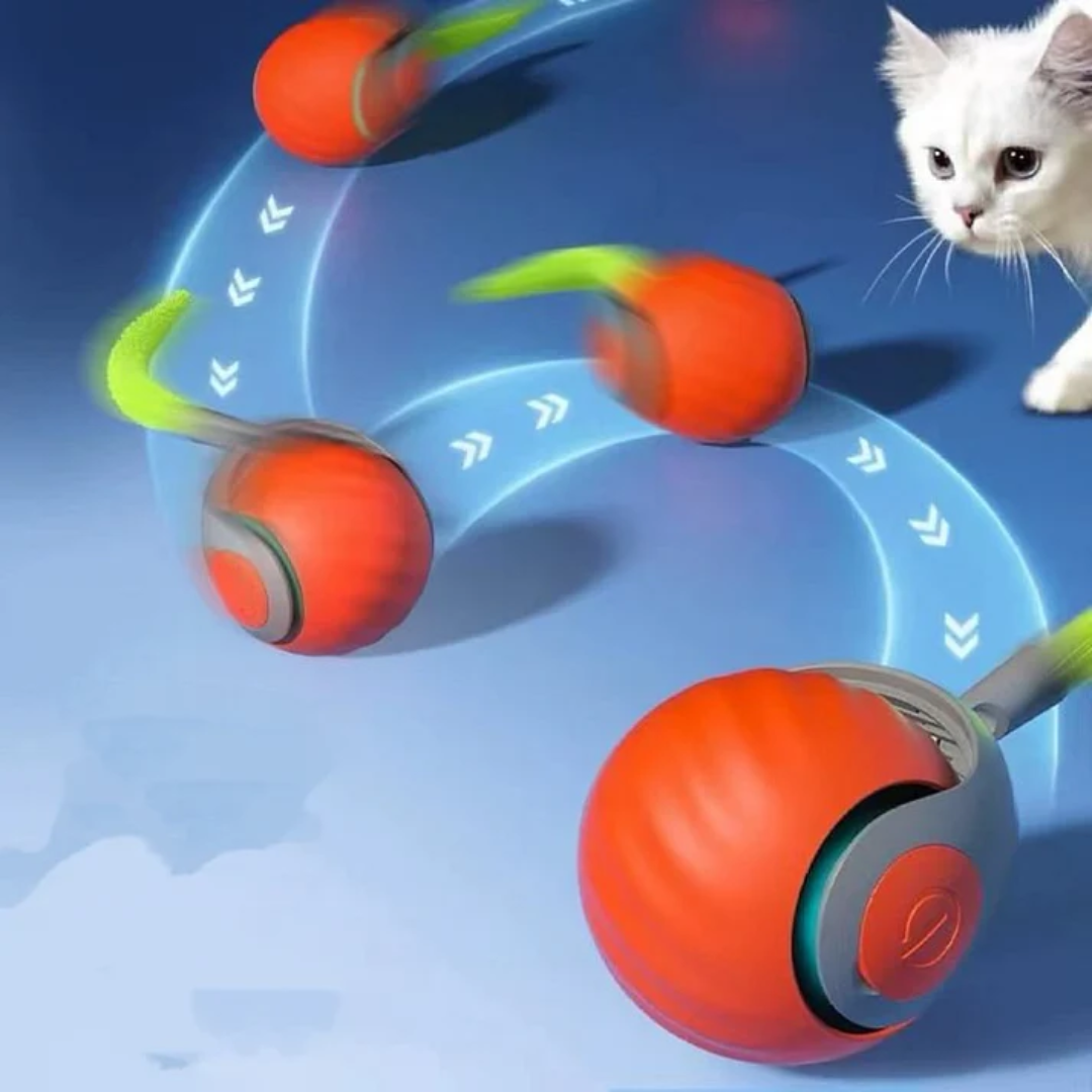 Bola Pena Elétrica para Pets