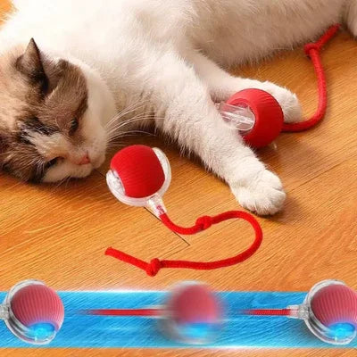 Brinquedo Bola de Caça Elétrica para Pets