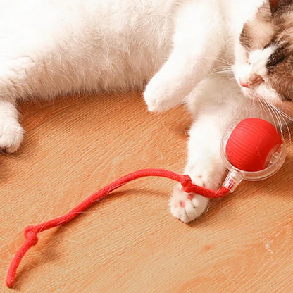 Brinquedo Bola de Caça Elétrica para Pets