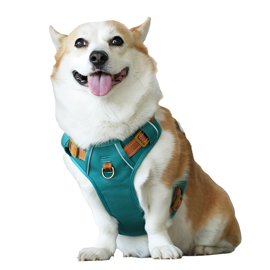 Coleira Peitoral para Cães