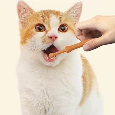 kit de Escovação de dente de Silicone para Pets