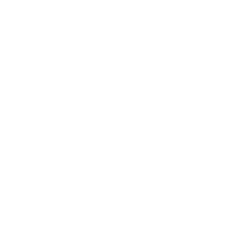 4 Patas | Loja Oficial