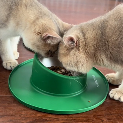 Tigela com Base Antiderrapante para Pets