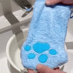Luva de Microfibra de banho para Cães