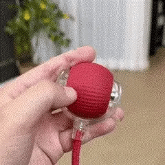 Brinquedo Bola de Caça Elétronica para Cães